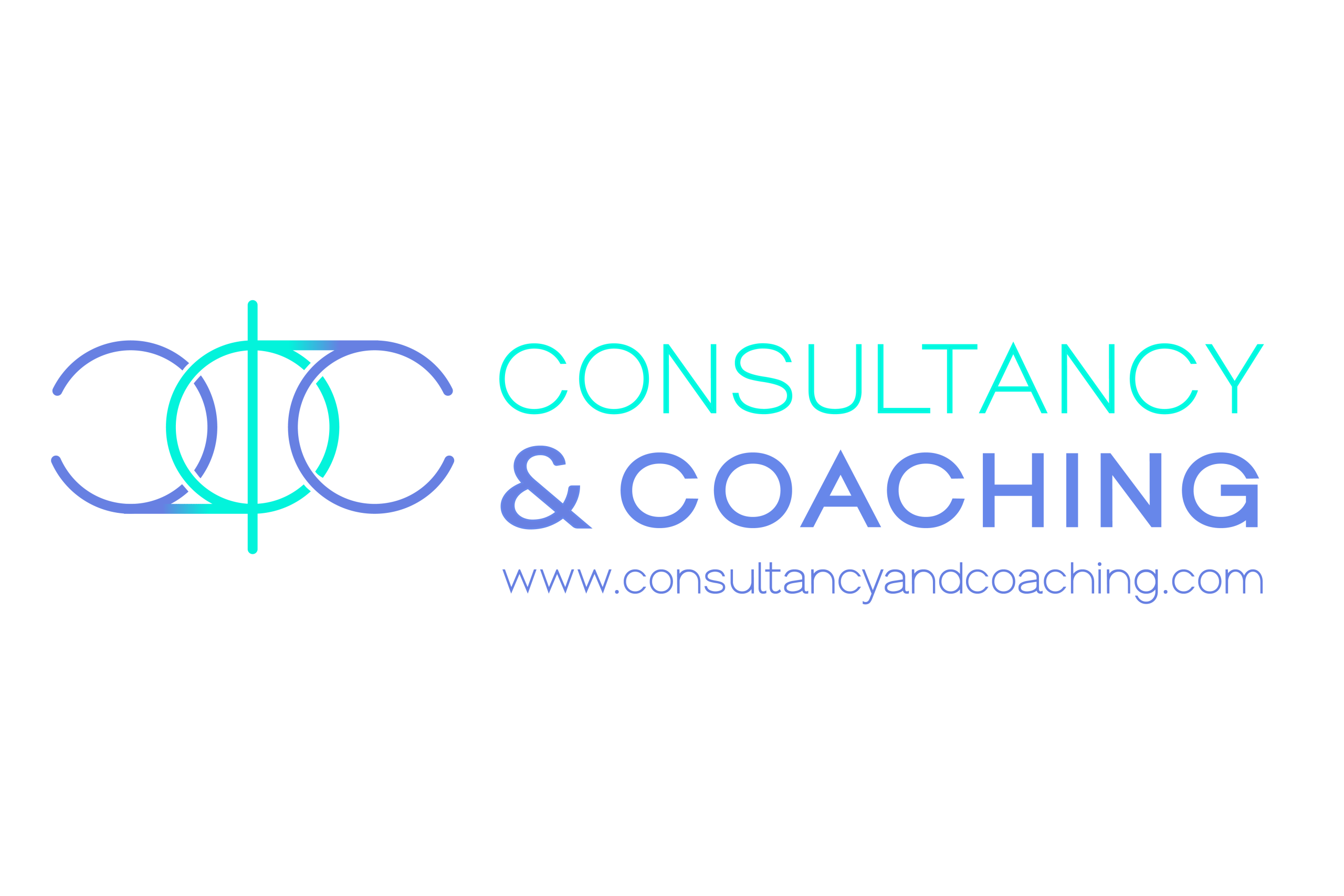 Consultancy and Coaching